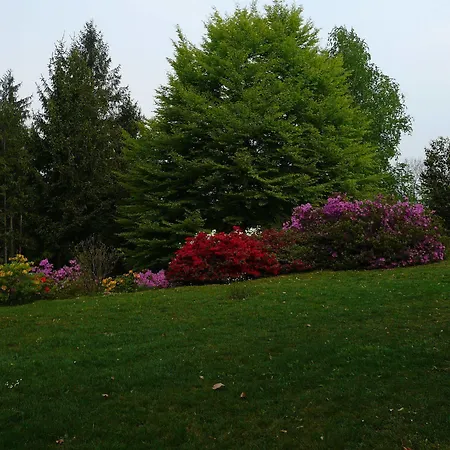 Le Pinete Bed & Breakfast 4*
